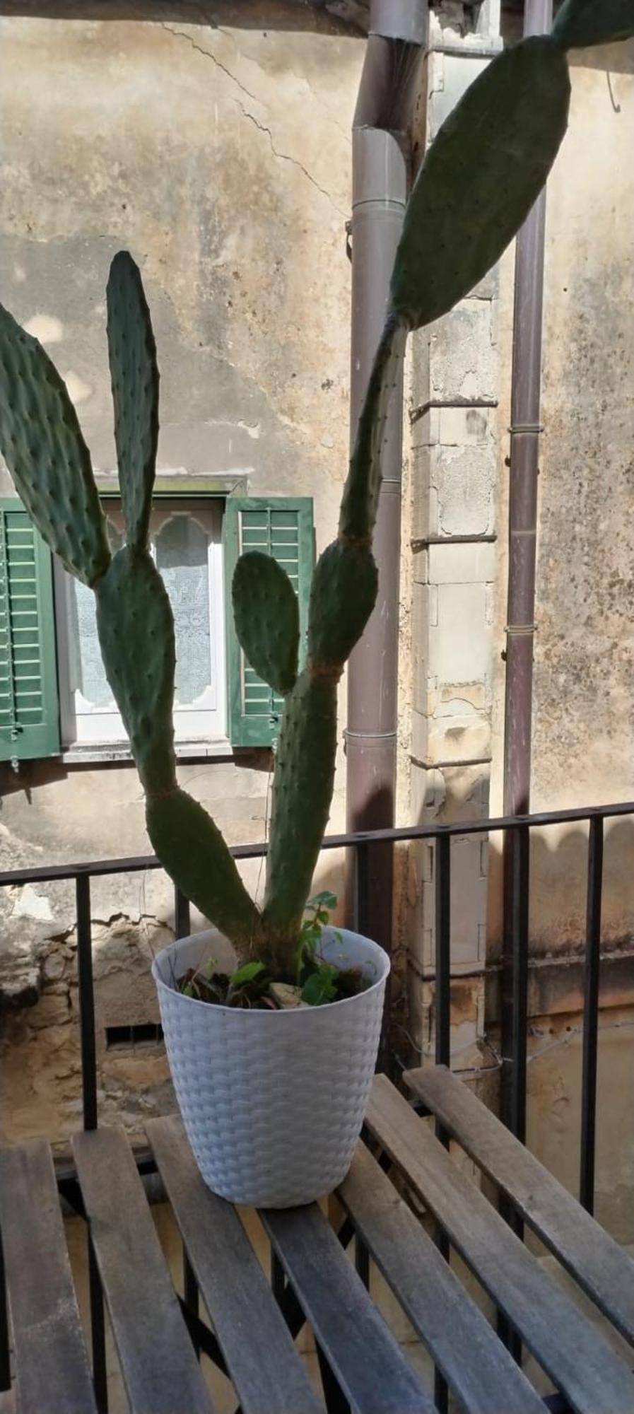 Residenza Donnafugata B&B Ragusa Buitenkant foto